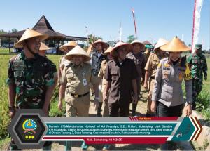 Danrem 073/Makutarama Hadiri Panen Raya Serentak di Semarang: Bukti Nyata Ketahanan Pangan Nasional