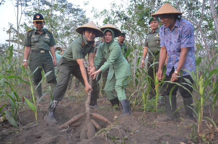 Danrem Panen Raya Ketela                                          