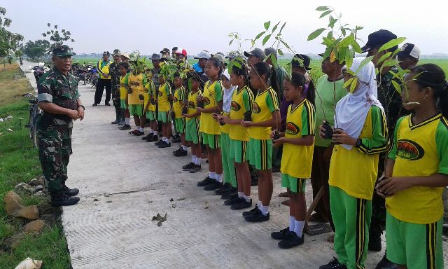 Sejukan Wilayah Dengan Penghijauan