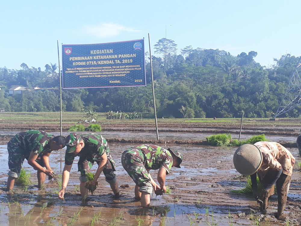 Bersama â€“ sama masuk Sawah demi Kemajuan Petani