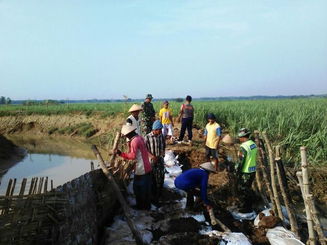 Anggota Kodim 0718/Pati Bantu Masyarakat Atasi Tanggul Jebol