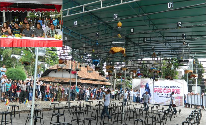 Lomba dan Pameran Burung Berkicau DPRD Salatiga  Cup 2015
