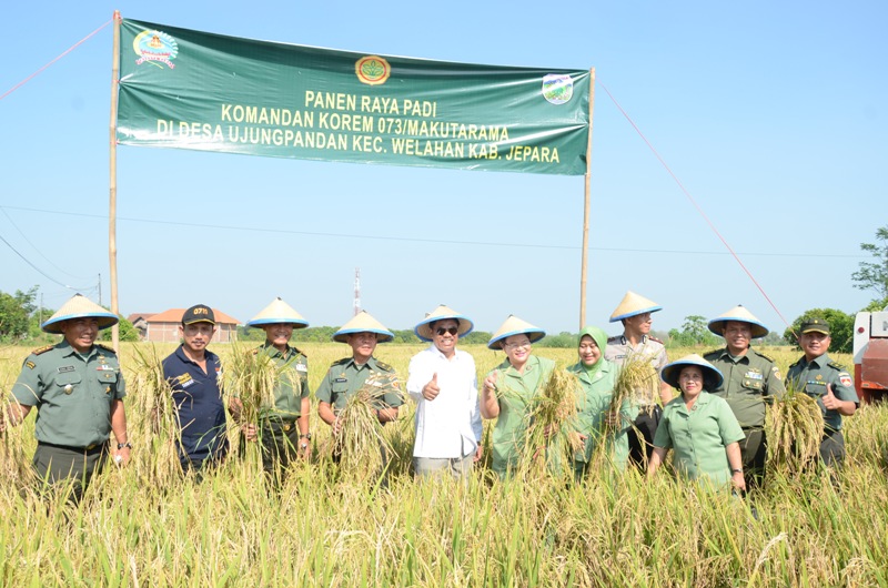 Danrem Hadiri Panen Raya Di Jepara