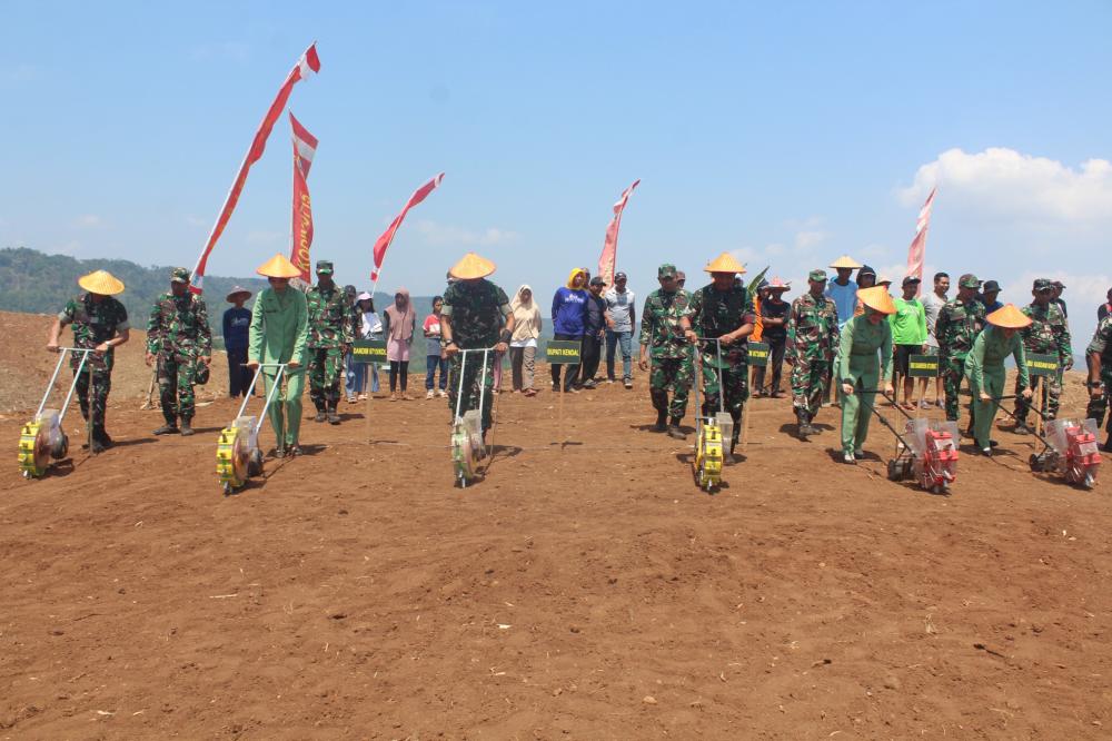 Upaya TNI Memperkuat Ketahanan Pangan Nasional