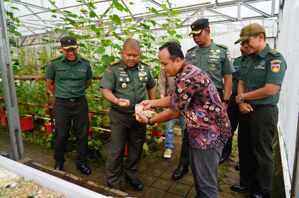 Kolaborasi Uji Coba Gandum Tropis, Sinergi TNI dan Akademisi Untuk Ketahanan Pangan Nasional