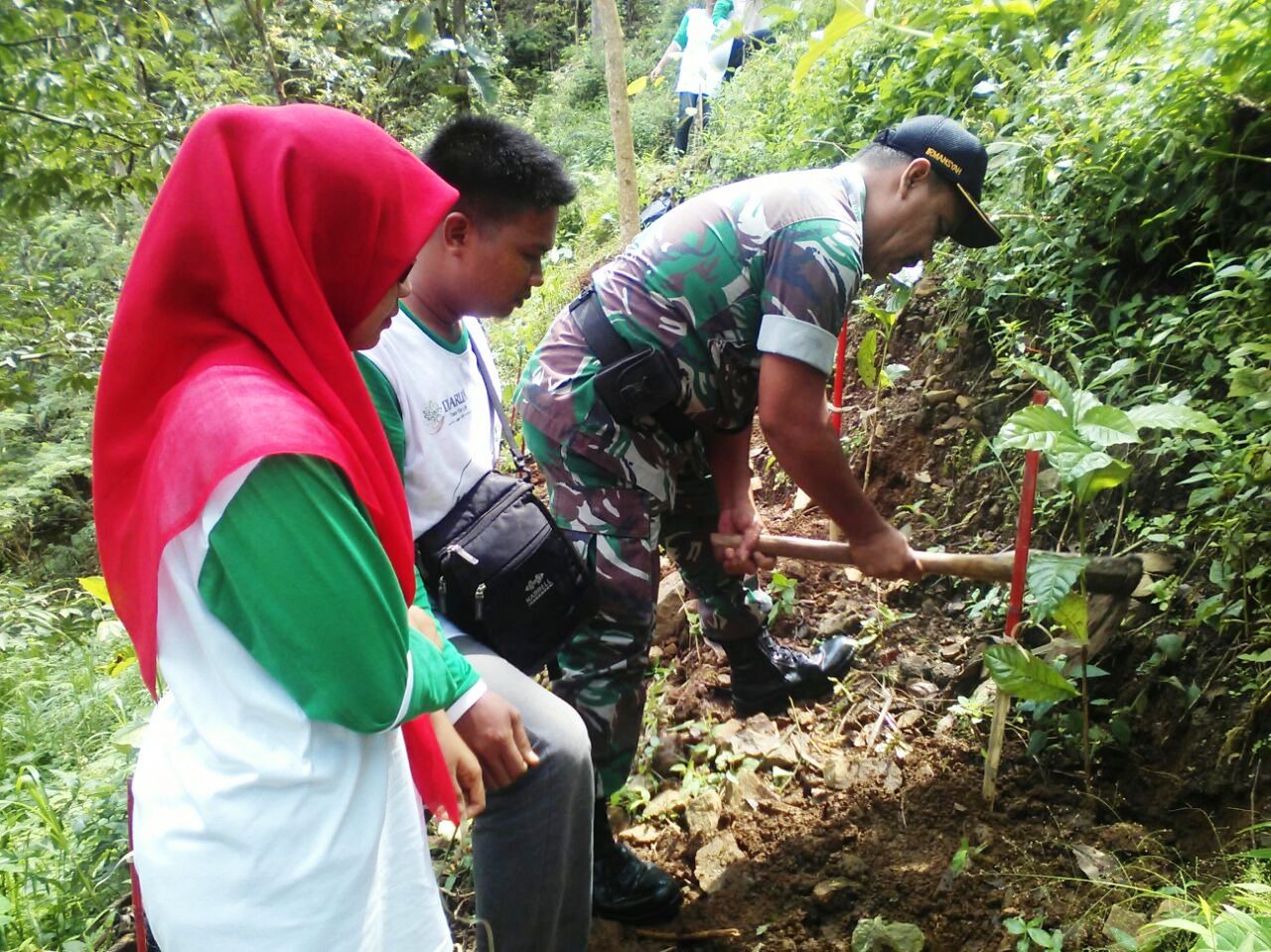 Penghijauan Di Gunung Muria
