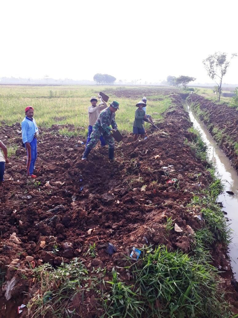 Babinsa Koramil 05/Mayong Dampingi Petani Olah Lahan Sawah