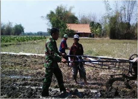 Babinsa Jadi Pelopor Pertanian  