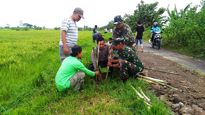 Koramil 01/Demak Bersinergi Menanam 1000 Pohon