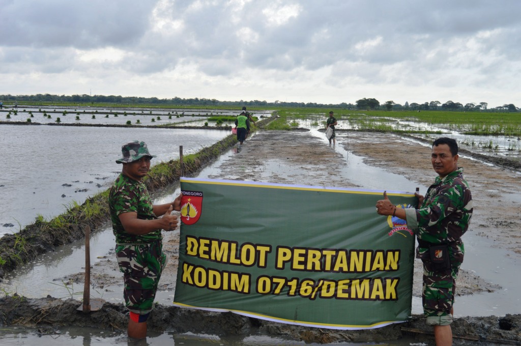 Kodim Demak Terapkan Teknologi Baru Di Bidang Pertanian Bakti Sosial Anggota Koramil dan Polsek Tunj