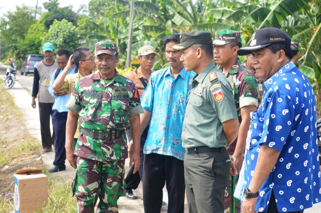 Dandim Demak Cek Kesiapan Panen Raya