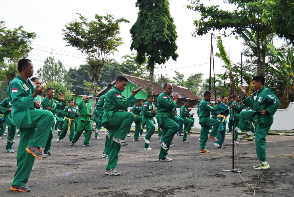Kuasai Tehnik Beladiri Yongmoodo
