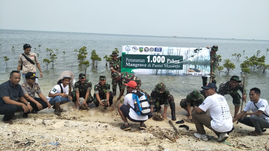 Kodim Jepara Tanam 1.000 pohon mangrove di pantai Pungkruk Mororejo