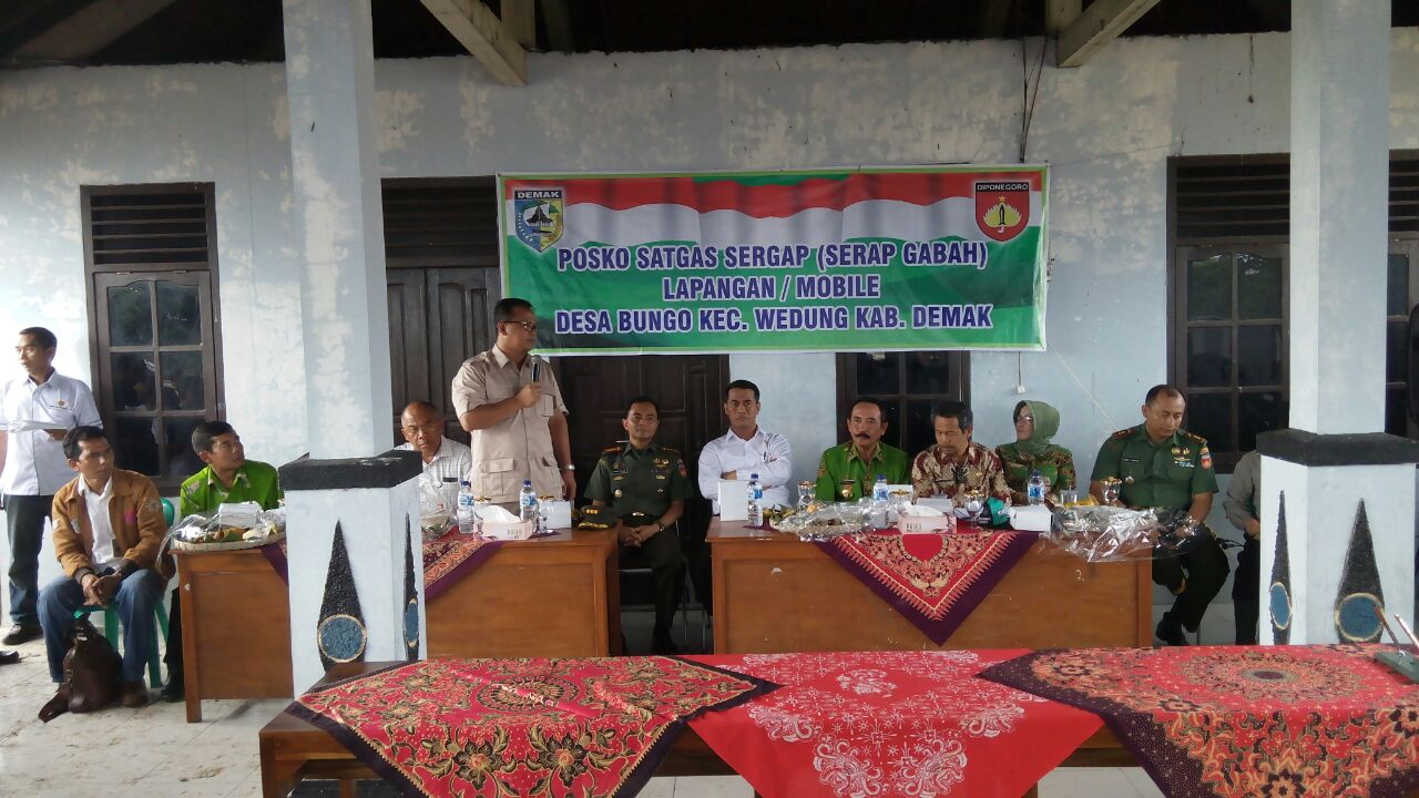 Danrem Dampingi Menteri Pertanian Panen Raya